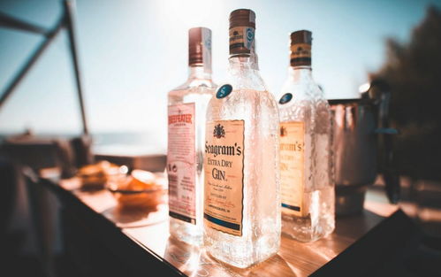 春節(jié)特輯 酒精飲料（包括脫醇酒）——喝酒不傷身的秘訣都在這里了